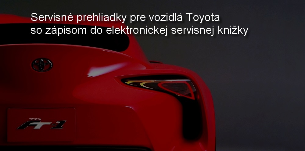 Toyota ESK, Elektronicka servisna knizka